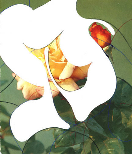 Roses II (2008)