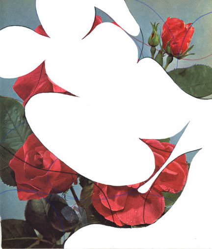 Roses III (2008)